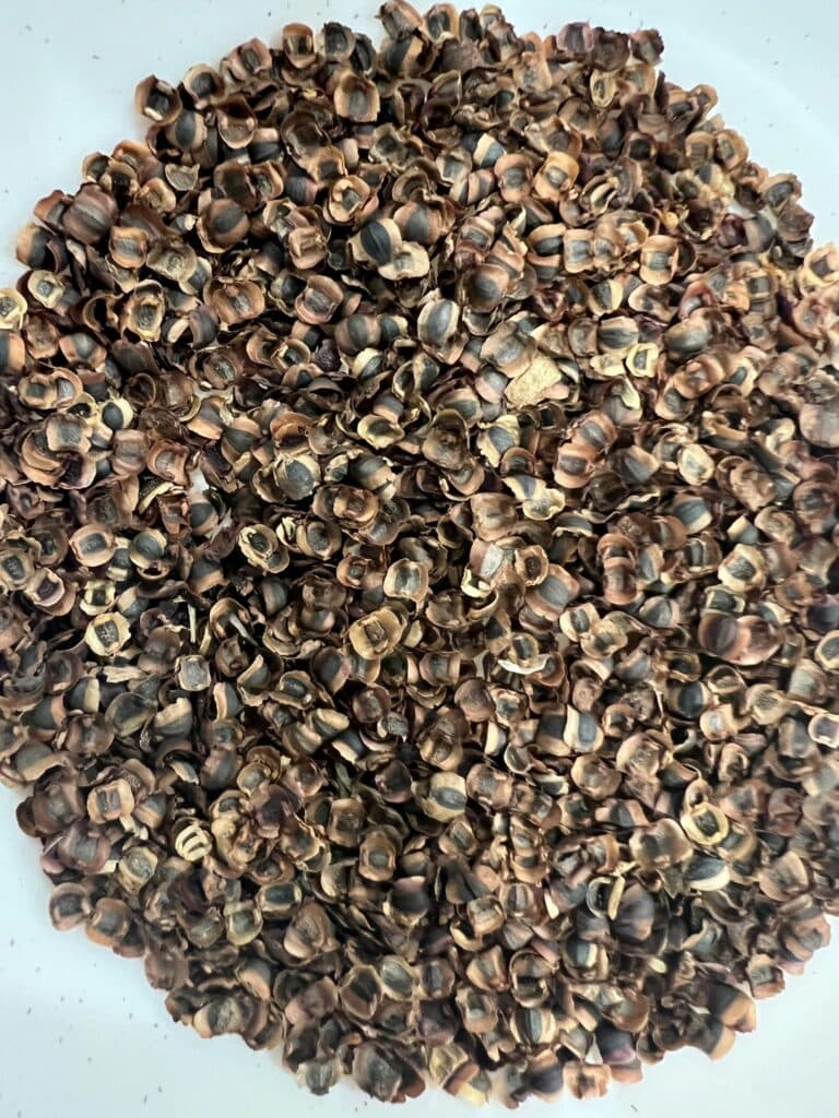 Pile of Coreopsis seeds